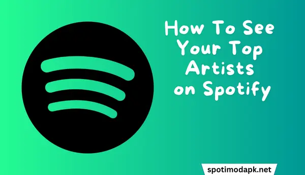 How To See Your Top Artists on Spotify